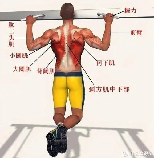 初学用哪种网球拍好呢男
